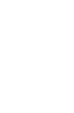 UNDP